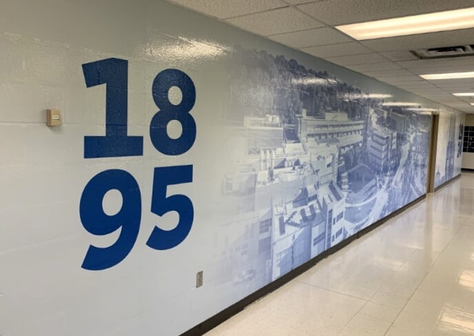 Wall Graphics